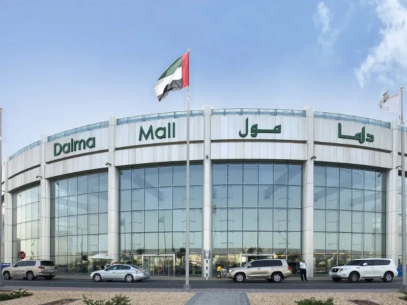 Mohammed Bin Zayed City, Area Guide & Insights