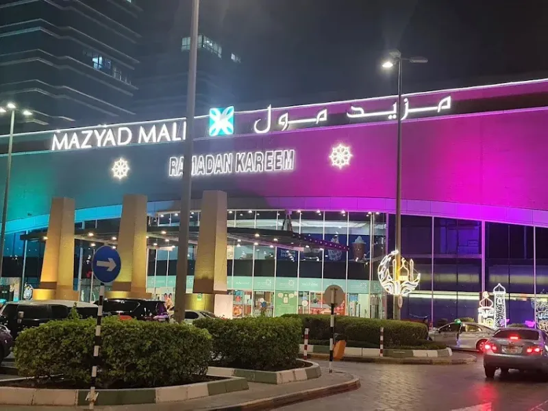 Mohammed Bin Zayed City, Area Guide & Insights