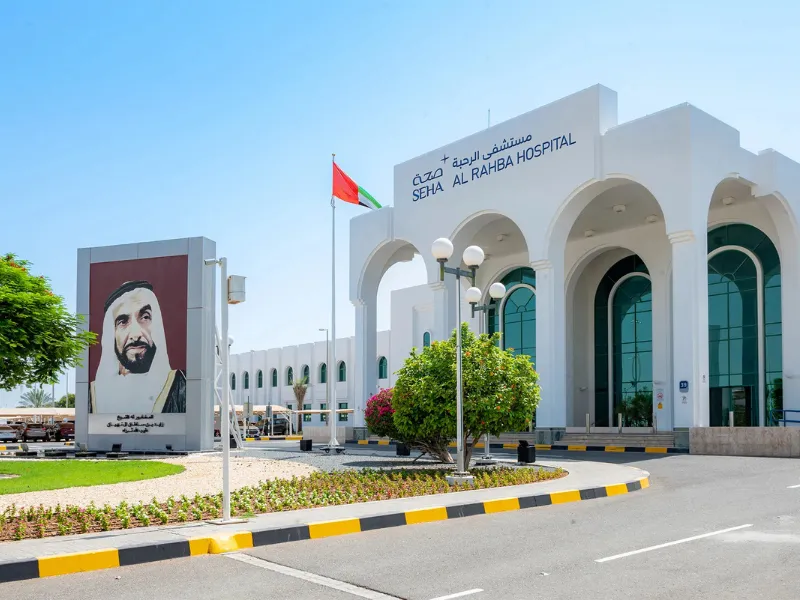 Mohammed Bin Zayed City, Area Guide & Insights