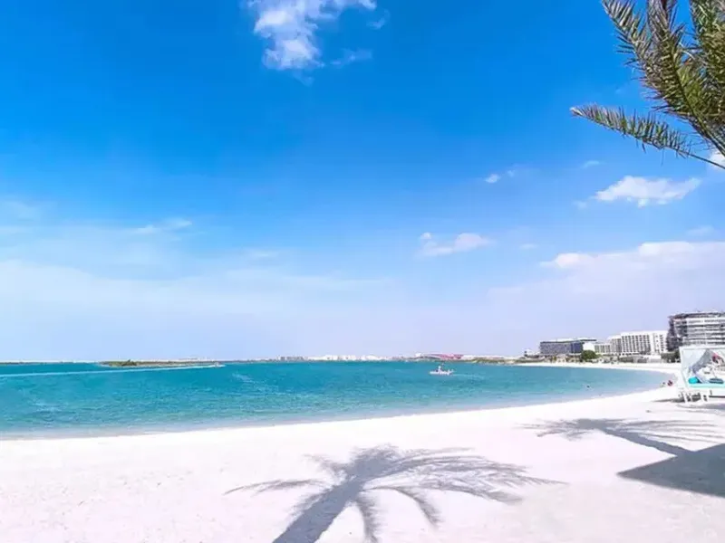 Mohammed Bin Zayed City, Area Guide & Insights