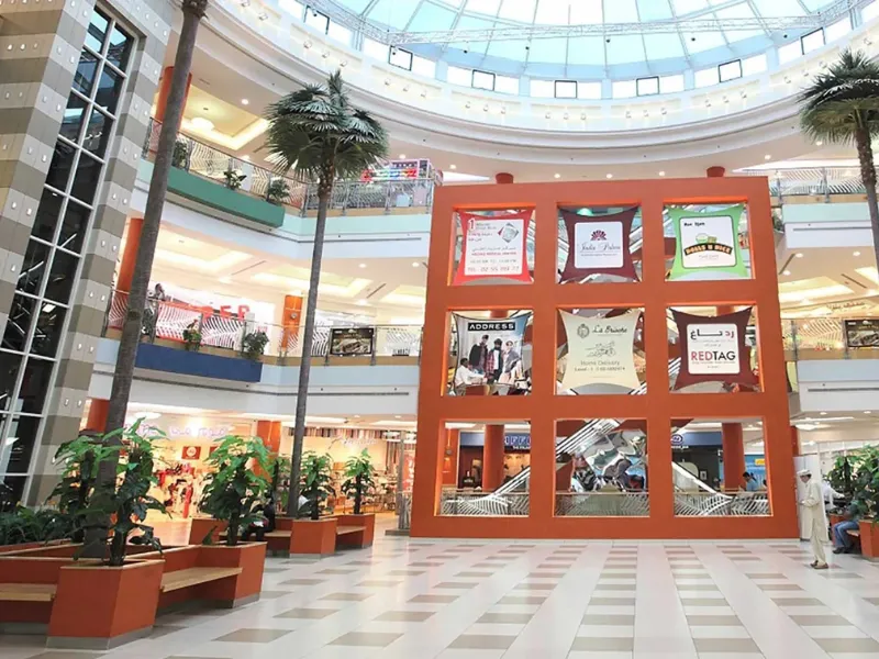 Mohammed Bin Zayed City, Area Guide & Insights