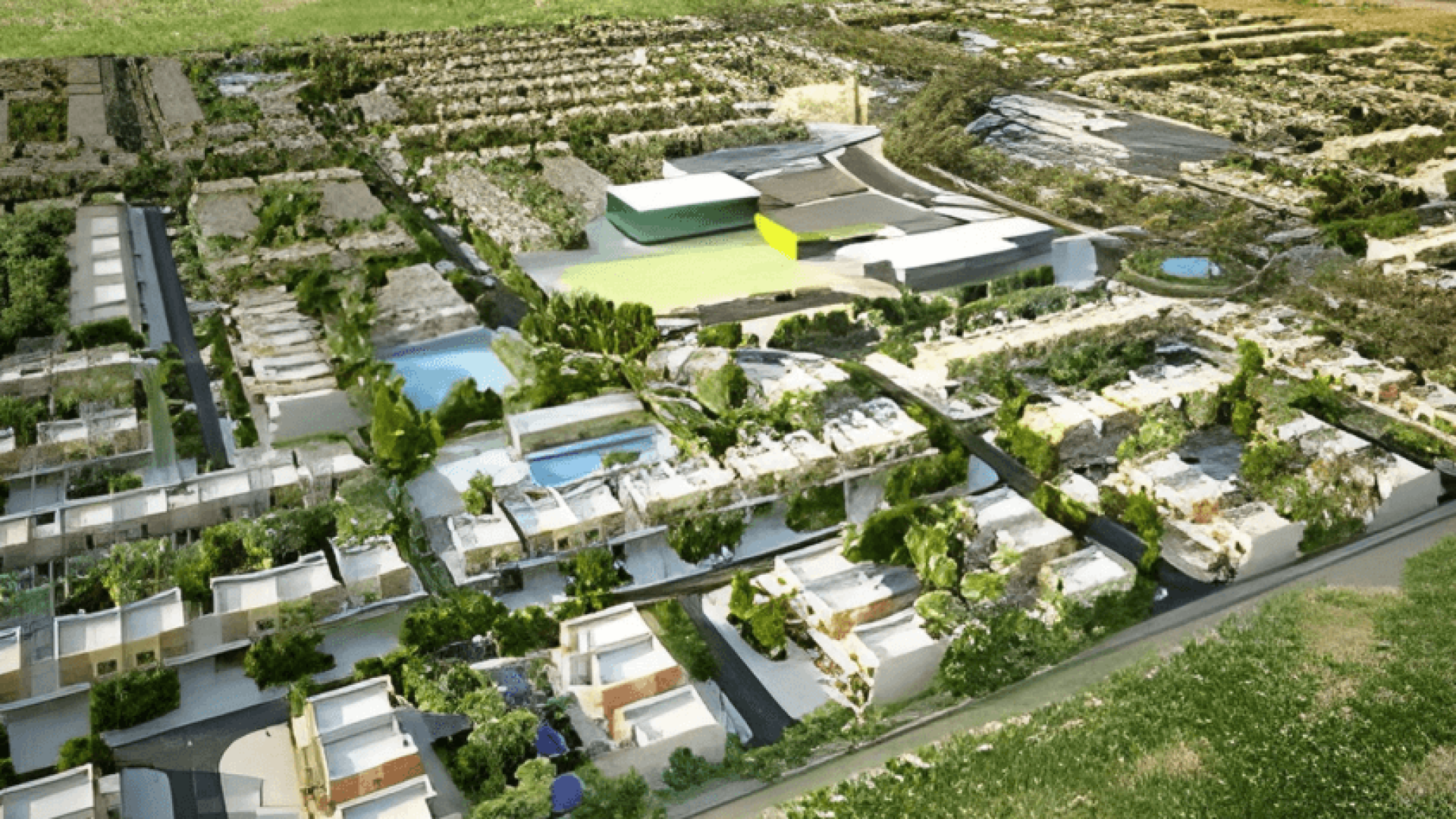 al reef area guide al reef